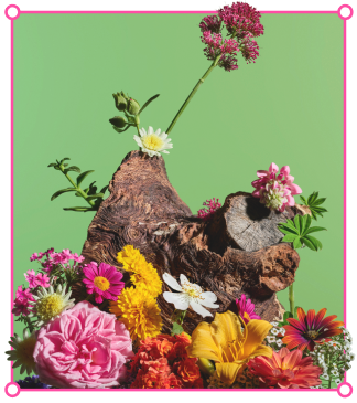 Arrangement of colorful flowers blooming from a piece of driftwood against a green background.